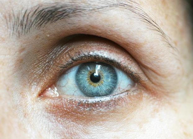 eye of a person